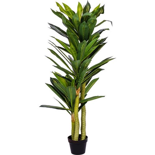 PLANTASIA®  Műnövény Dracaena 120 cm