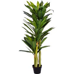 PLANTASIA®  Műnövény Dracaena 120 cm