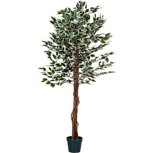 PLANTASIA Műnövény fikusz 160 cm